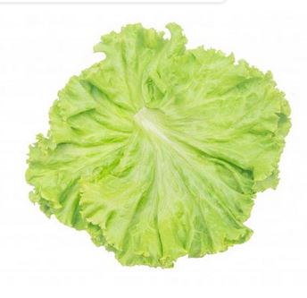 lettuce leaves